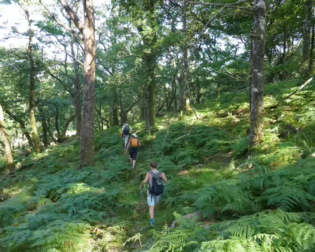 Un peu de hors sentier...