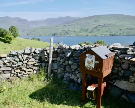 Ce qu'on appelle ici une Honesty box. Vous vous servez et vous payez dans la tire-lire.