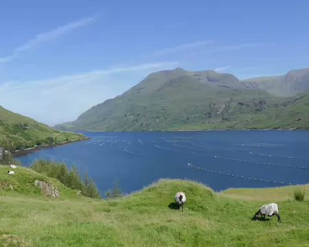 Killary Harbour.