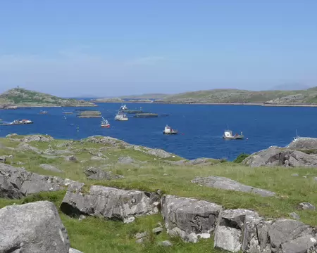 L'embouchure, étroite, de Killary Harbour.