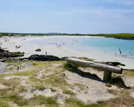 Plage de Dogs bay.