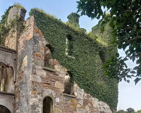 20260710_113320-01 Le château de Clifden est récent mais ruiné