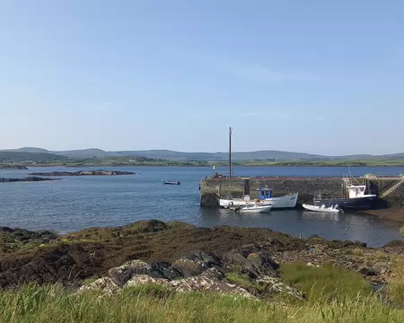 20260712_093220 Ballynakill Harbour