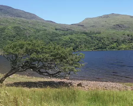 20260713_121445-01 Le long du Kylemore Lough