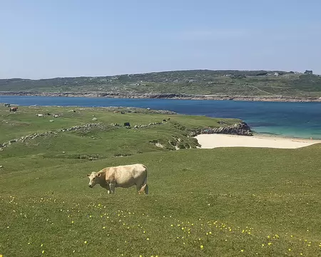 20260717_145643-01 C'est un écosystème 