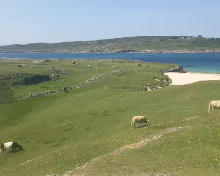 20260717_145939 Les vaches y paissent une herbe riche.