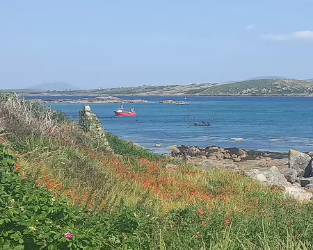 20260717_163525 Retour à Roundstone par la côte