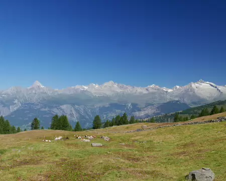 2026-07-28 10-46-51