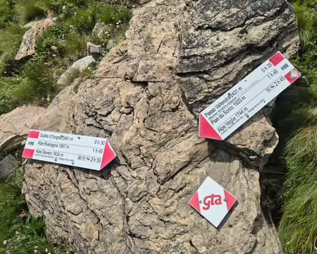 2026-07-29 13-56-11