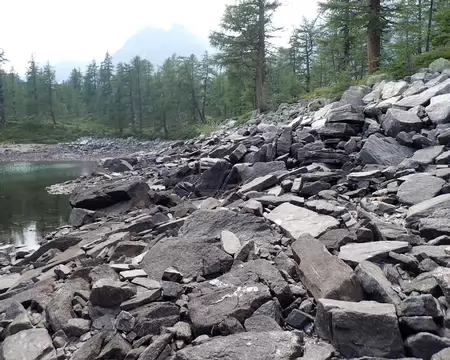 2026-07-29 16-00-30