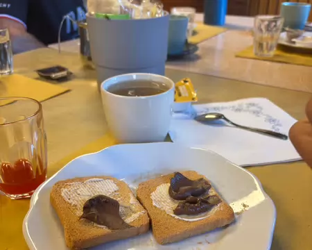 2026-07-31 07-28-31 2 biscottes pour une grosse journée de randonnée, c'est trop !