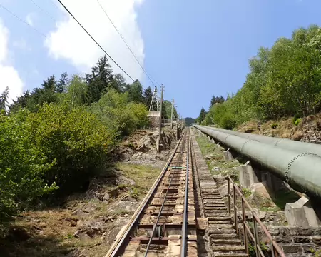 2026-08-03 14-20-03