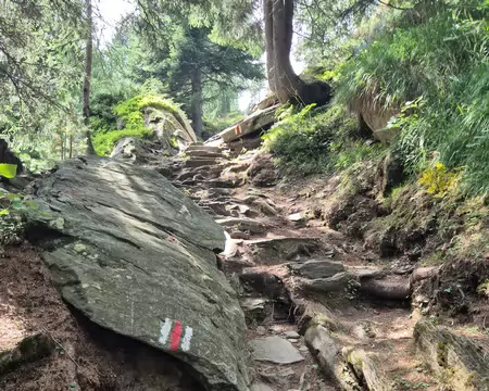 2026-08-04 15-59-06