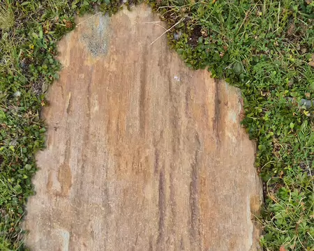 2026-08-06 13-32-42