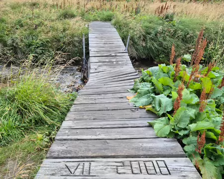 2026-08-07 08-26-33