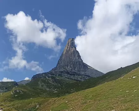 2026-08-08 11-00-04