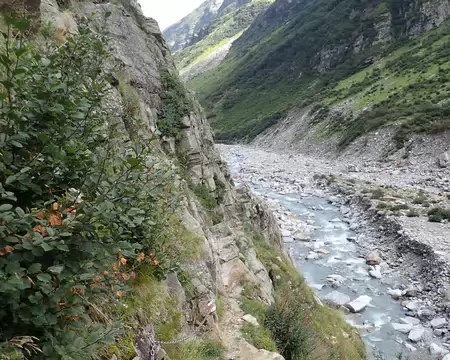 2026-08-09 12-23-49