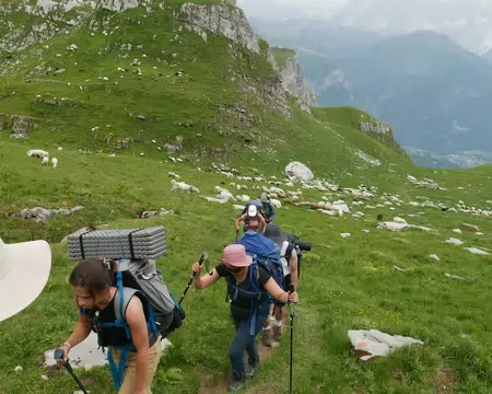 2026-07-13-15h48m17 Après la traversée du troupeau gardé par les patous et une bergère