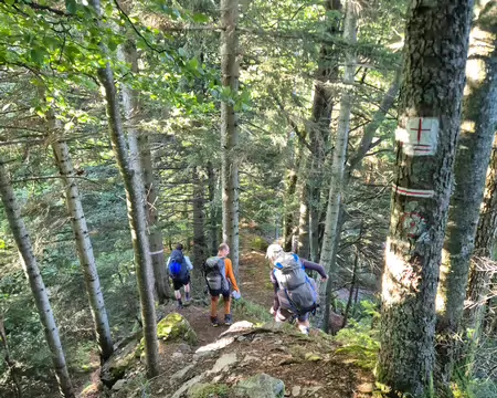 2026-08-22-08h08m42 Yo-yo et sentier sur le fil