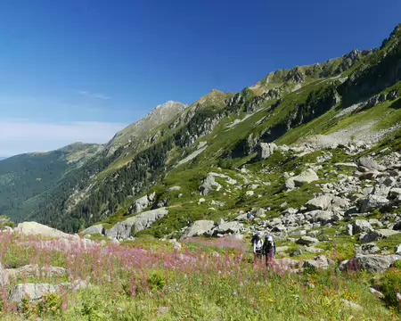 2026-08-23-11h29m31 C'est d'abord bucolique