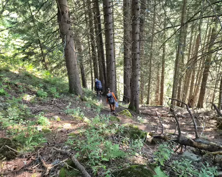 2026-08-24-17h40m26 On a finalement trouvé une alternative au refuge, on descend en forêt par le GR738
