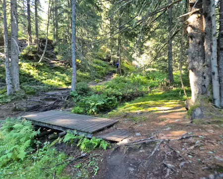 2026-08-25-09h50m20 Montée forestière pour rejoindre les 7 Laux