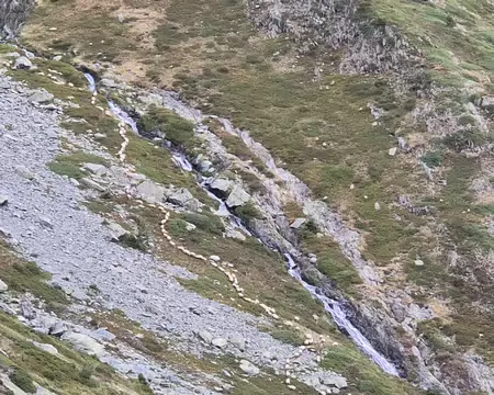 2026-08-25-17h01m25 Les brebis remontent le long du ruisseau des Combes