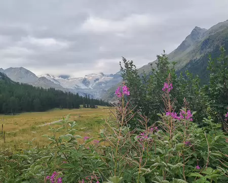 20260818115703 Il y a plusieurs glaciers au fond de Val Roseg. Le piz Bernina est aussi par là.