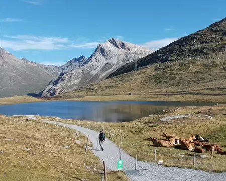 20260819091622-WA0033 Début de la marche, lac Nair.