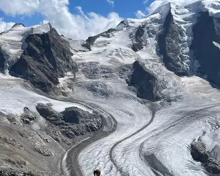 20260819140012-WA0005 Magnifique glacier de Morteratsch.