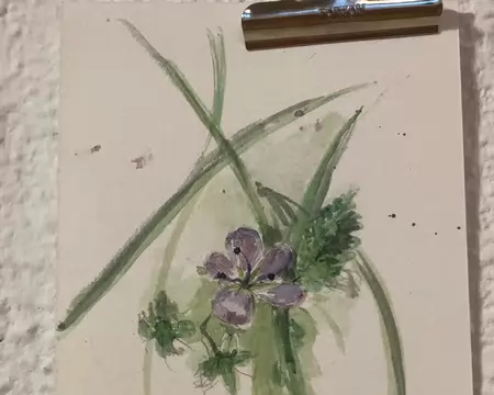 2026-08-20 18-07-25