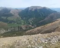 1000022509