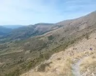 1000022511