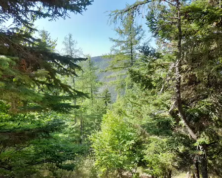 IMG-20260919-WA0000