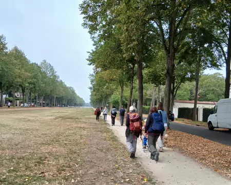 003 L’Avenue Albine, ancienne allée royale du domaine de Maisons, conduit à la forêt de Saint-Germain