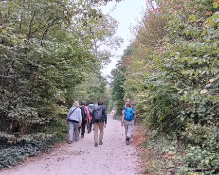 005 Arrivée dans la forêt domaniale de Saint-Germain par la porte du Nord