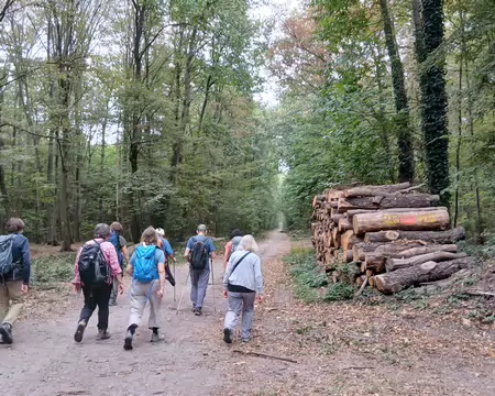 007 Chemin forestier