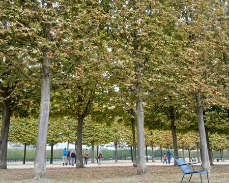 022 Le château et l’église de Saint-Germain-en-Laye vus du parc