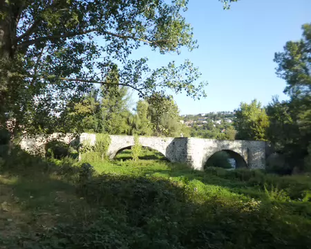 P1230591 J2 - le Pont de Roderie sur la Borne...