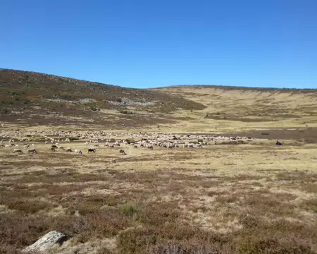 P1230754