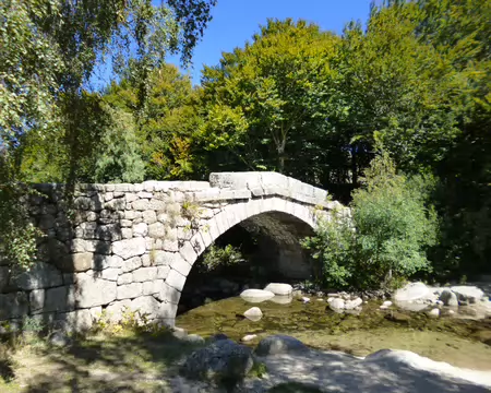 P1230768 LeTarn au pont de Camargues, alt. 1349 m.
