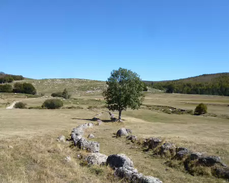 P1230775