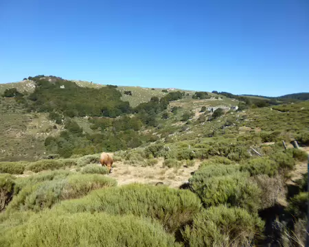 P1230780