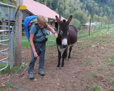 20261007141812_IMG_0269