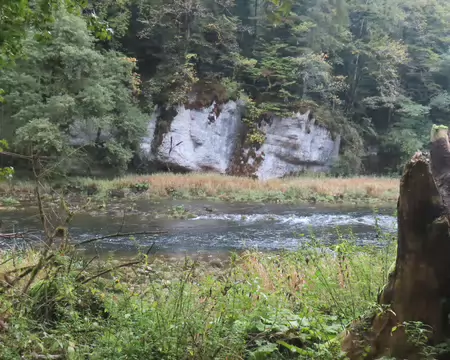 20261009092708_IMG_0308