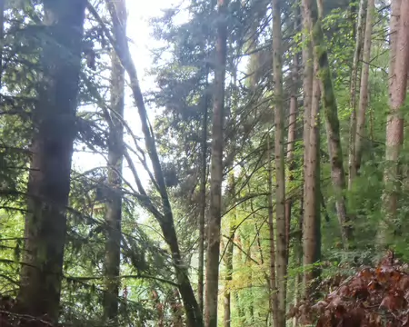 20261009093937_IMG_0309