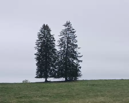 20261009_171809