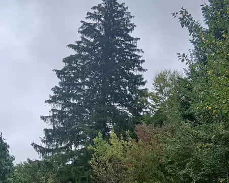 20261010_120643