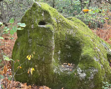 072 Ce fauteuil est-il naturel ?