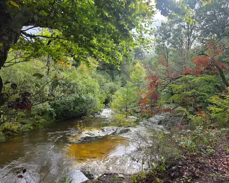 116 Ruisseau de Bureau, bien alimenté par les pluies, qui alimente le lac de Vézoles.